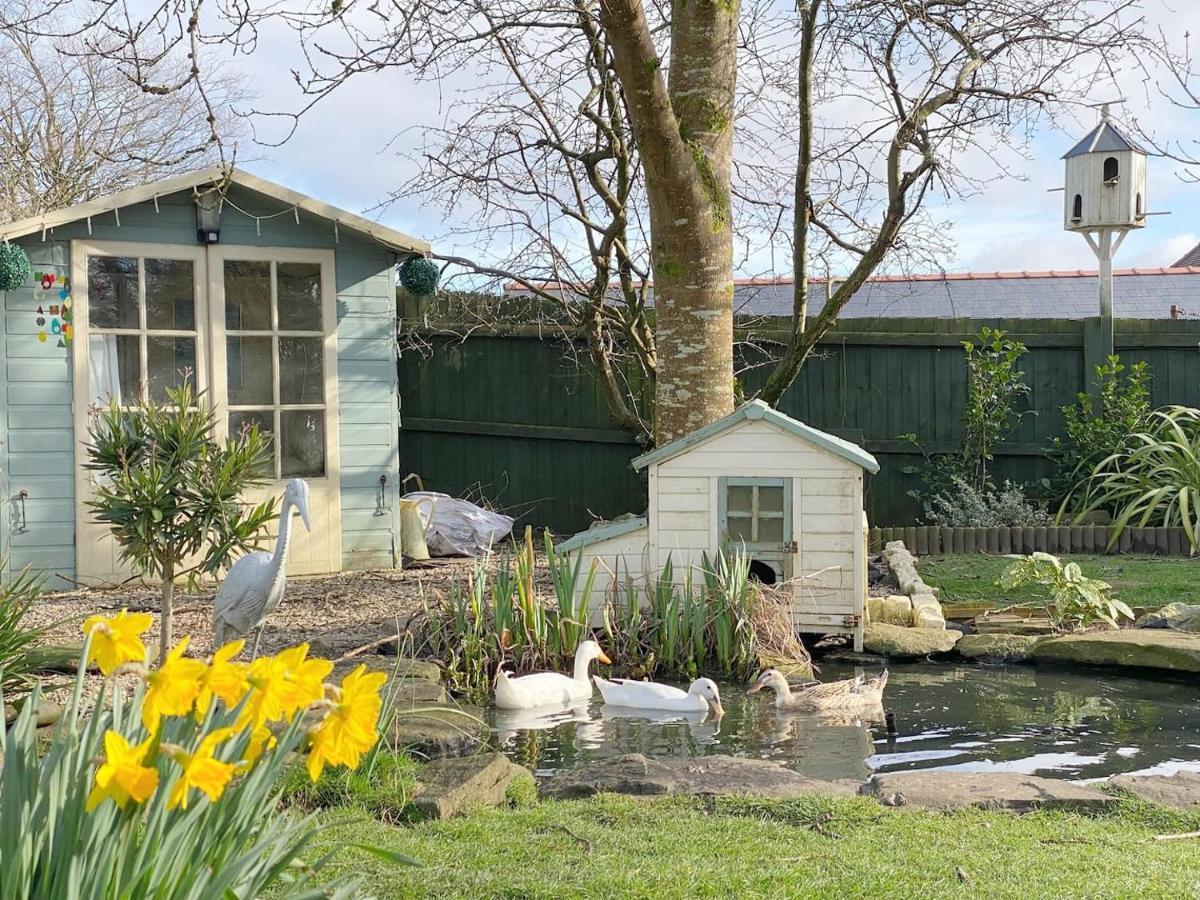 Апартаменты The Duck House Суонси Экстерьер фото