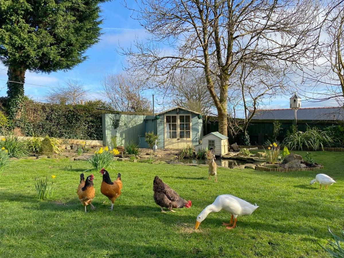 Апартаменты The Duck House Суонси Экстерьер фото